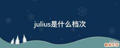 julius是什么档次
