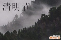 2024清明节安康祝福语简短50句
