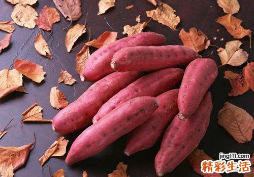 冬天吃什么食物不怕冷 这3种暖身蔬菜助你保暖御寒