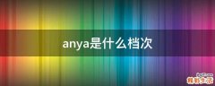 anya是什么档次