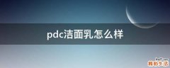 pdc洁面乳怎么样