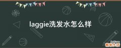 laggie洗发水怎么样