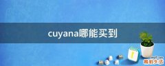 cuyana哪能买到