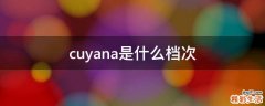 cuyana是什么档次