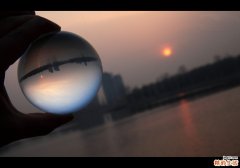 枳壳