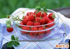 养护肝脏的食物 这些养肝护肝食物要知道