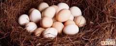 养肝食物有哪些 养肝吃什么食物有用