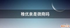 稚优泉是微商吗