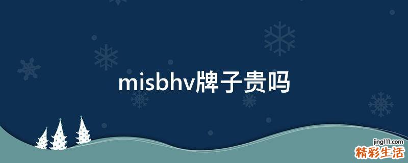 misbhv牌子贵吗