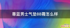 尊蓝男士气垫BB霜怎么样