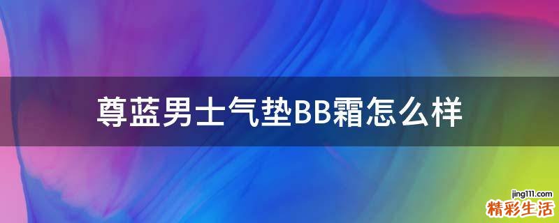 尊蓝男士气垫BB霜怎么样