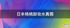 日本杨桃卸妆水真假