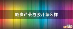 昭贵芦荟凝胶汁怎么样