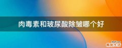 肉毒素和玻尿酸除皱哪个好