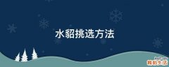 水貂挑选方法
