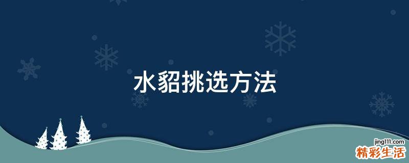 水貂挑选方法