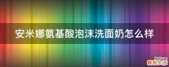 安米娜氨基酸泡沫洗面奶怎么样