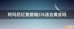 阿玛尼红管唇釉516适合黄皮吗