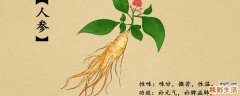 鲜人参怎么保存最好 鲜人参能带上飞机吗