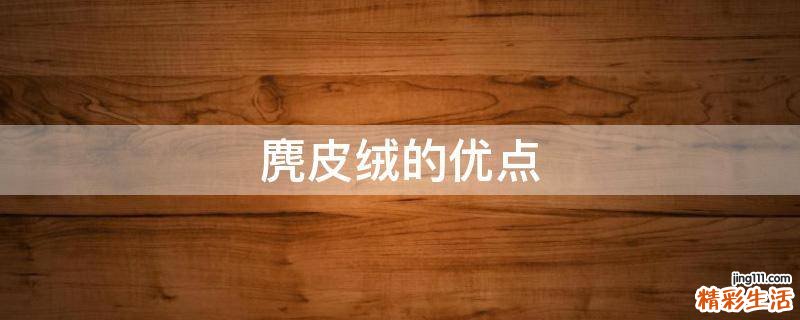 麂皮绒的优点