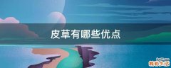 皮草有哪些优点