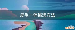 皮毛一体挑选方法