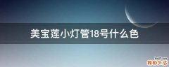 美宝莲小灯管18号什么色