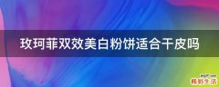 玫珂菲双效美白粉饼适合干皮吗