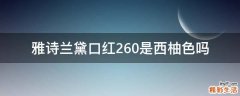雅诗兰黛口红260是西柚色吗