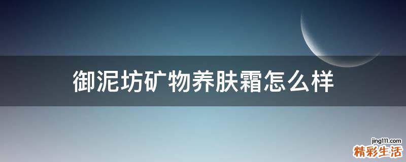 御泥坊矿物养肤霜怎么样