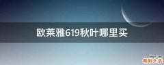 欧莱雅619秋叶哪里买