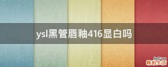 ysl黑管唇釉416显白吗