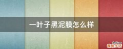 一叶子黑泥膜怎么样