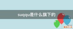 suqqu是什么旗下的