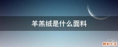 羊羔绒是什么面料