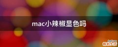 mac小辣椒显色吗