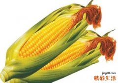 吃玉米减肥吗