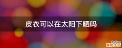 皮衣可以在太阳下晒吗