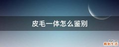 皮毛一体怎么鉴别