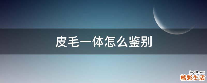 皮毛一体怎么鉴别
