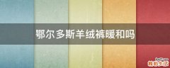 鄂尔多斯羊绒裤暖和吗