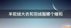 羊驼绒大衣和羽绒服哪个暖和