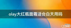 olay大红瓶面霜适合白天用吗