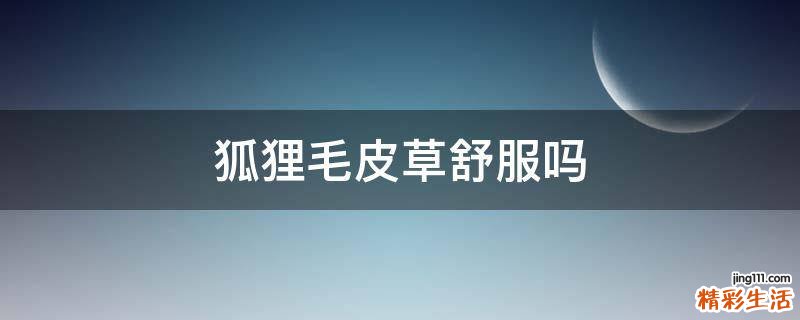 狐狸毛皮草舒服吗