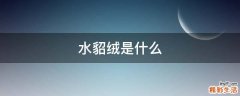 水貂绒是什么