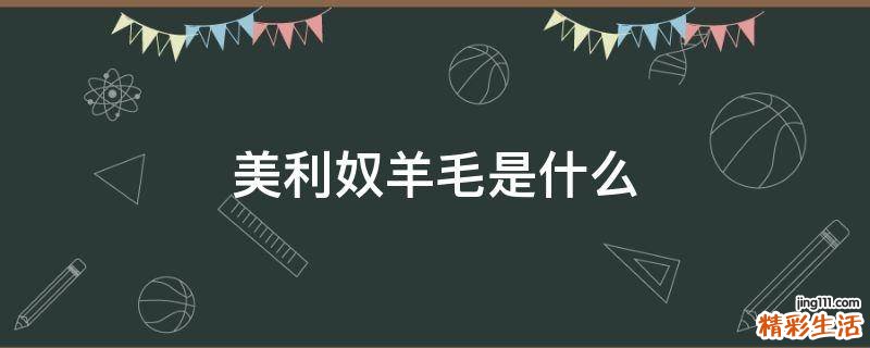 美利奴羊毛是什么
