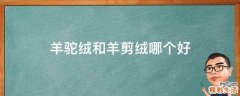 羊驼绒和羊剪绒哪个好