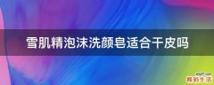 雪肌精泡沫洗颜皂适合干皮吗