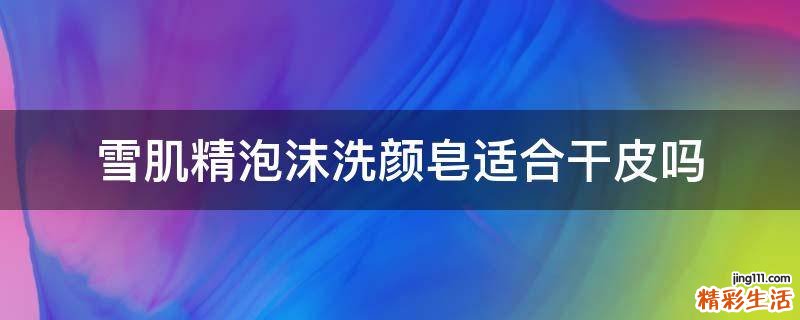 雪肌精泡沫洗颜皂适合干皮吗