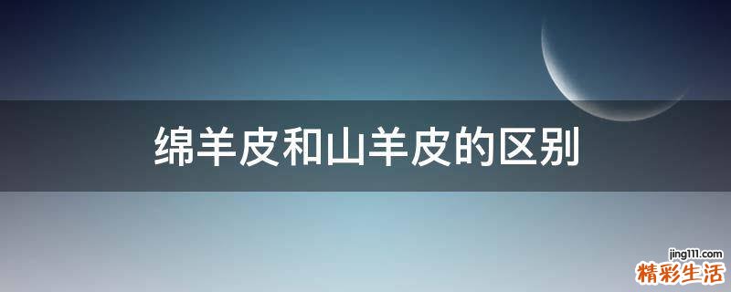 绵羊皮和山羊皮的区别